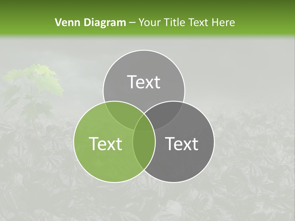 Garbage On The Planet PowerPoint Template