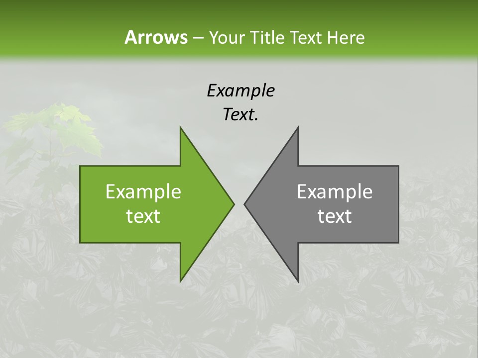 Garbage On The Planet PowerPoint Template