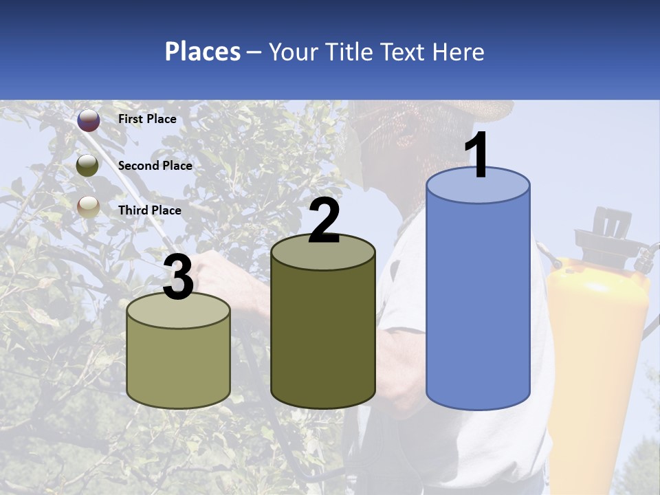 Treatment Of Trees From Pests PowerPoint Template