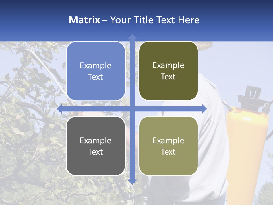 Treatment Of Trees From Pests PowerPoint Template