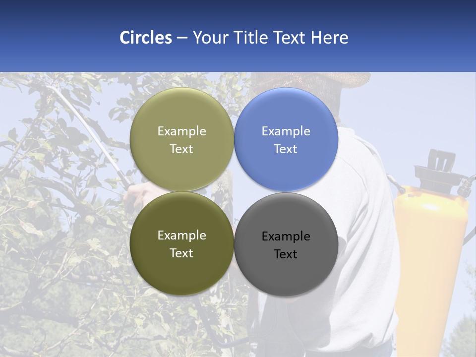 Treatment Of Trees From Pests PowerPoint Template