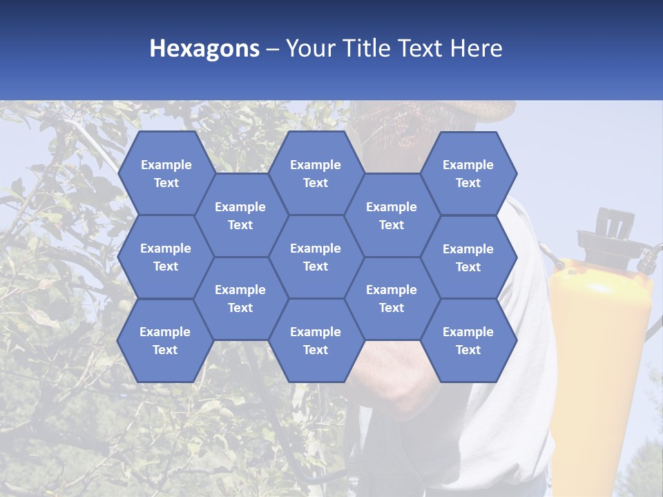 Treatment Of Trees From Pests PowerPoint Template