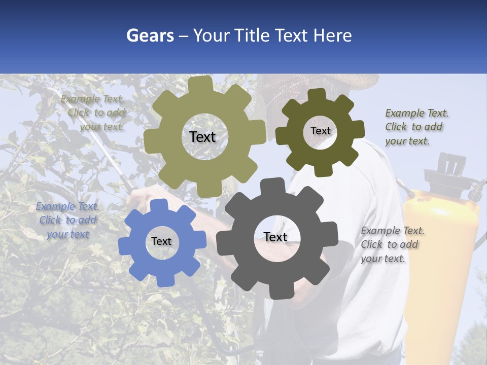 Treatment Of Trees From Pests PowerPoint Template