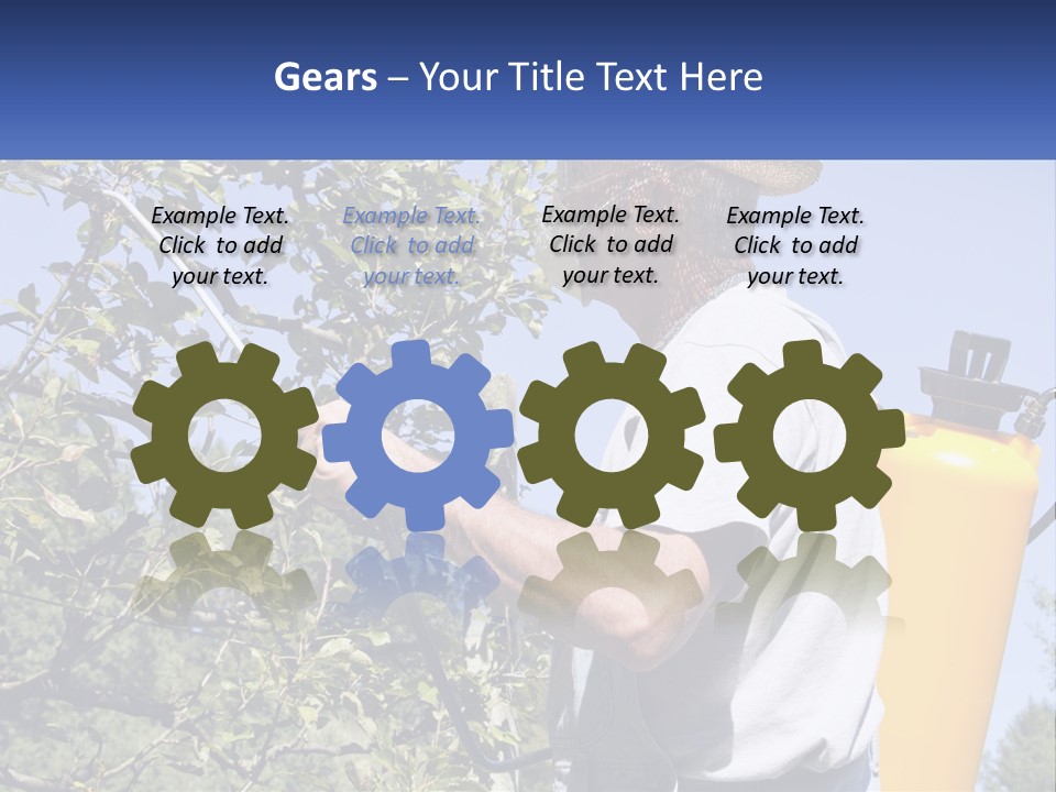 Treatment Of Trees From Pests PowerPoint Template