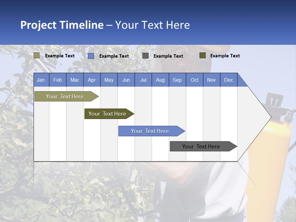 Treatment Of Trees From Pests PowerPoint Template