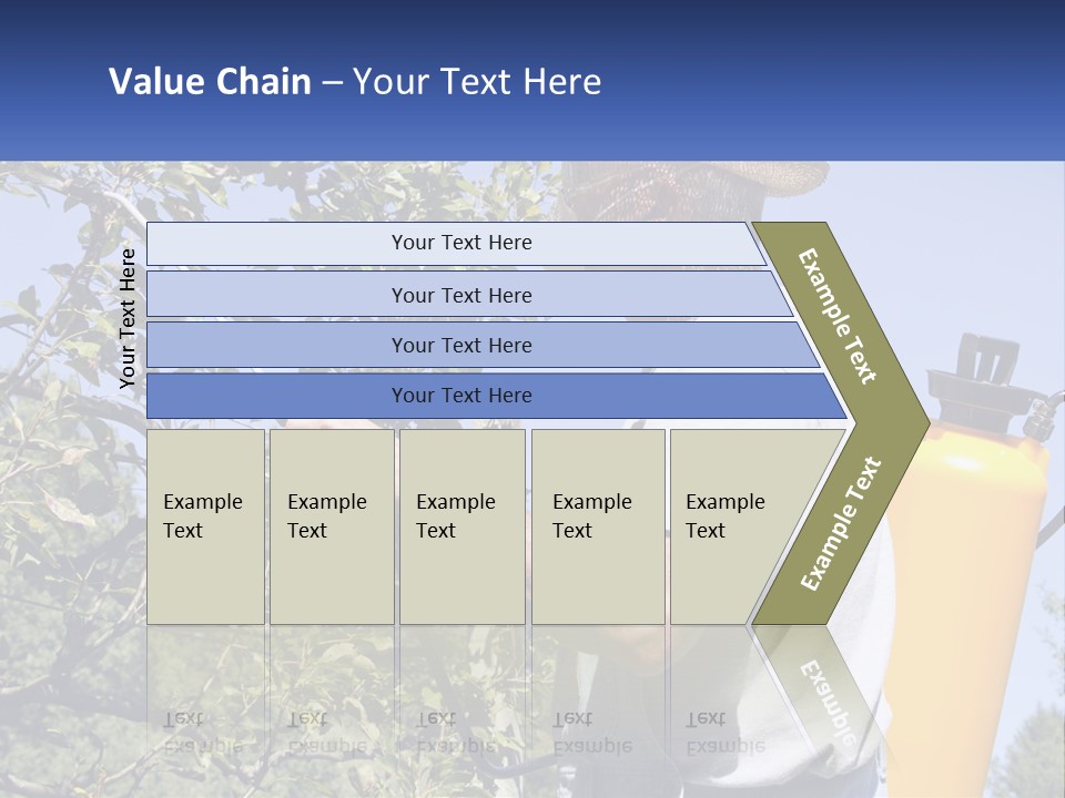 Treatment Of Trees From Pests PowerPoint Template