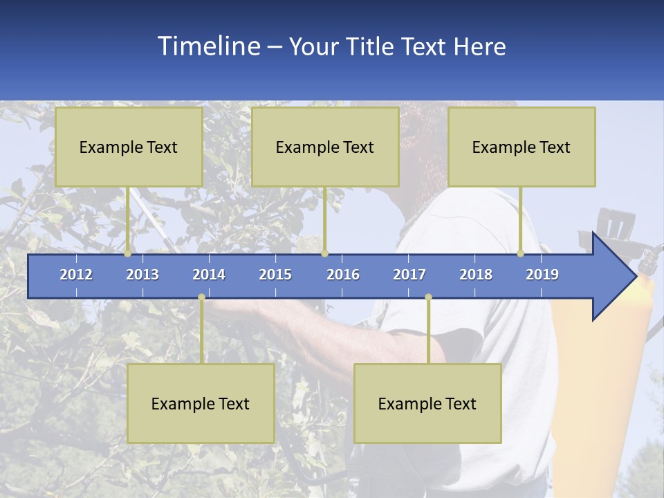 Treatment Of Trees From Pests PowerPoint Template
