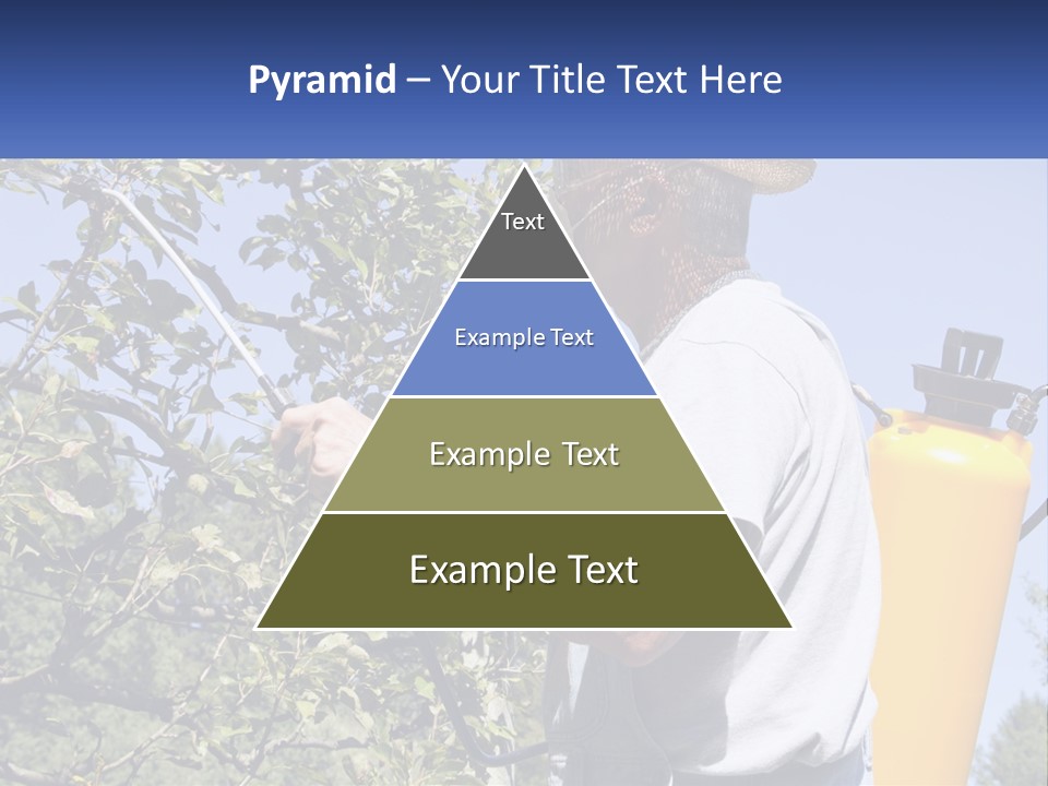 Treatment Of Trees From Pests PowerPoint Template