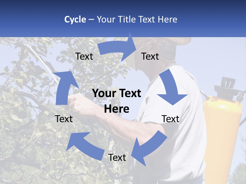 Treatment Of Trees From Pests PowerPoint Template