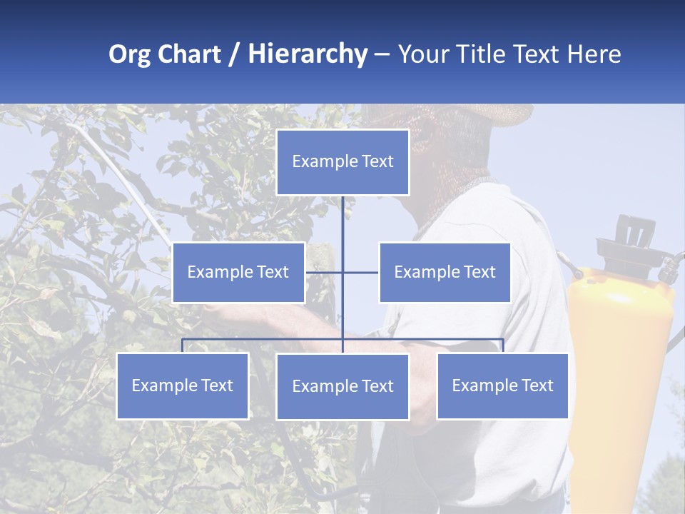 Treatment Of Trees From Pests PowerPoint Template