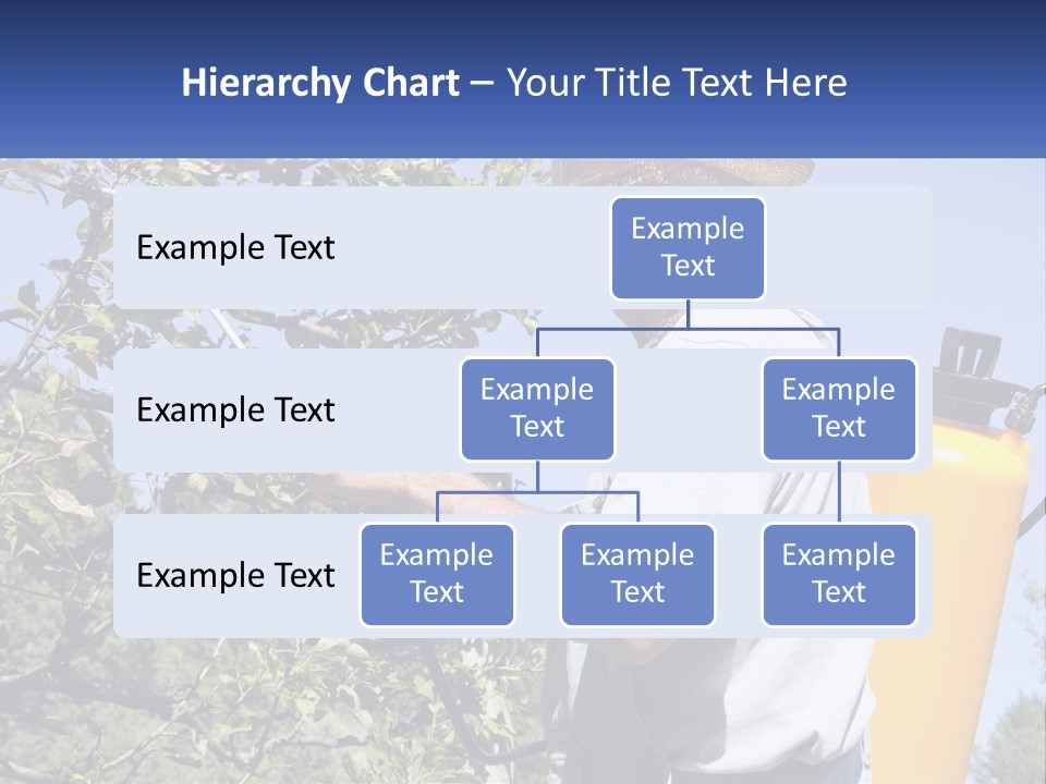 Treatment Of Trees From Pests PowerPoint Template