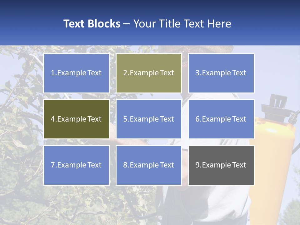 Treatment Of Trees From Pests PowerPoint Template