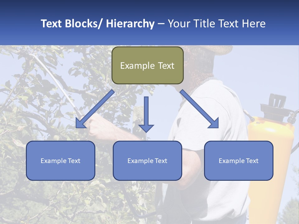 Treatment Of Trees From Pests PowerPoint Template