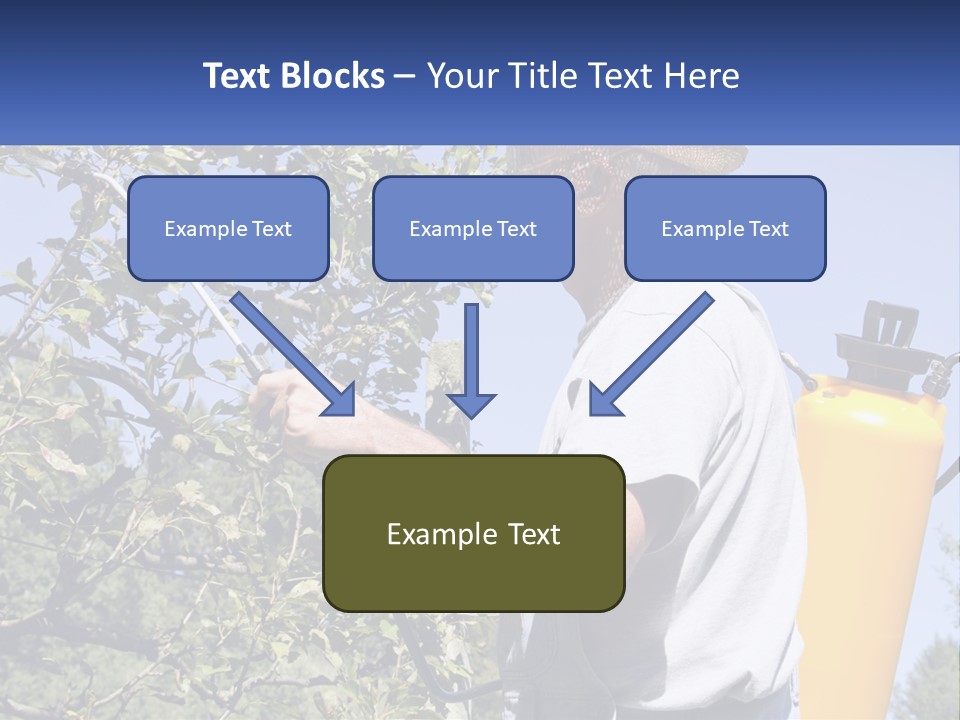 Treatment Of Trees From Pests PowerPoint Template