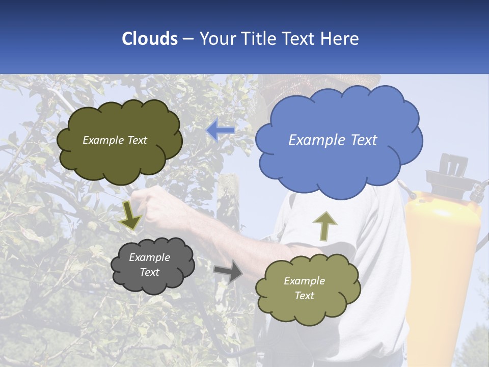 Treatment Of Trees From Pests PowerPoint Template