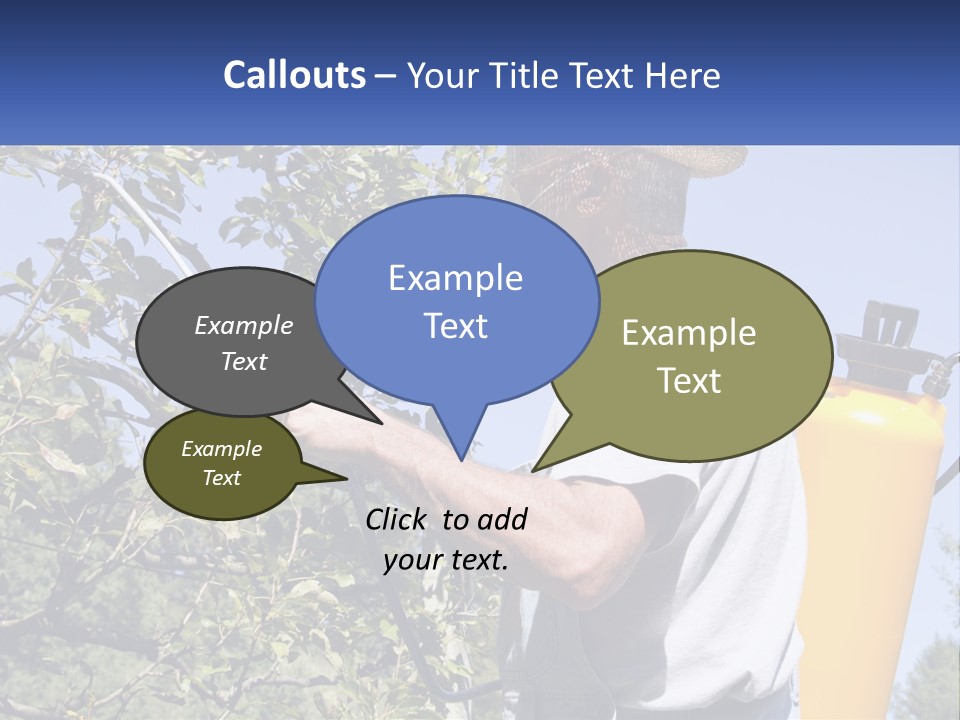 Treatment Of Trees From Pests PowerPoint Template