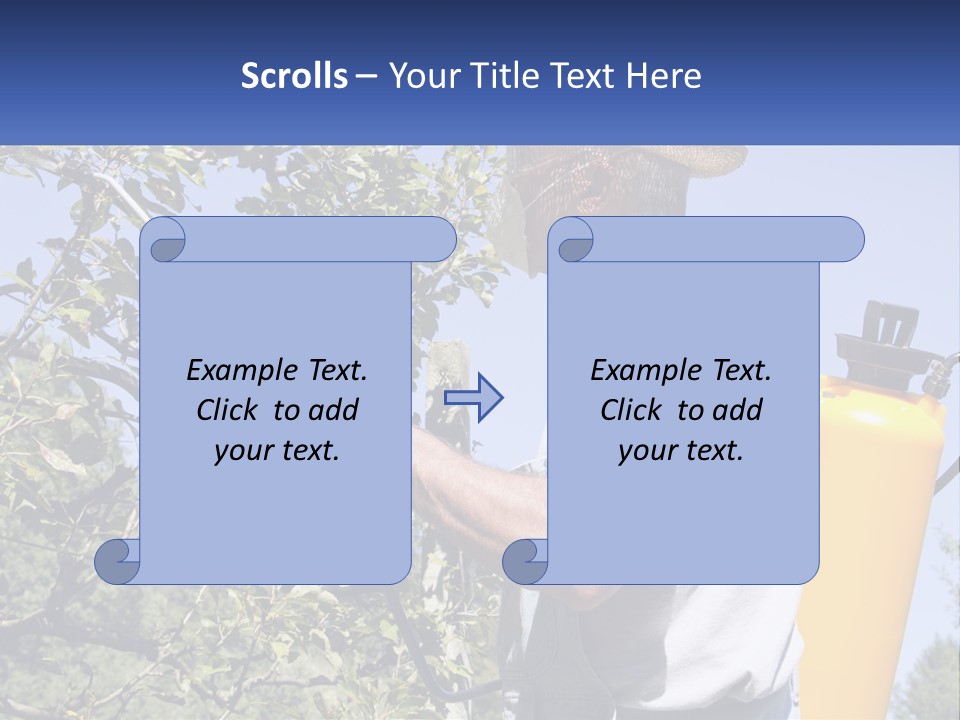 Treatment Of Trees From Pests PowerPoint Template