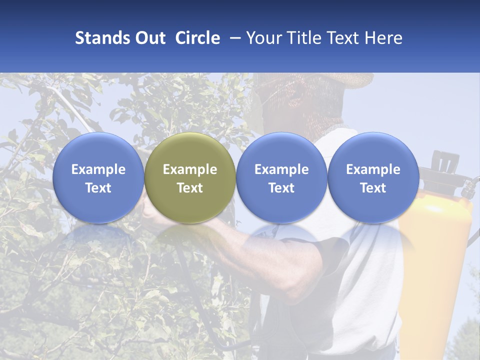 Treatment Of Trees From Pests PowerPoint Template