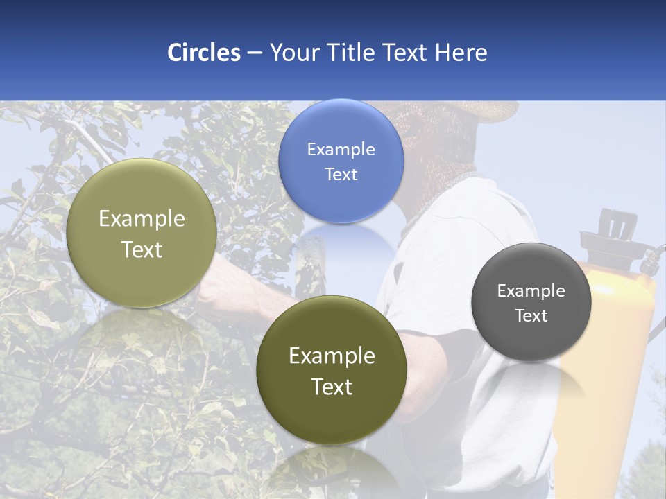 Treatment Of Trees From Pests PowerPoint Template