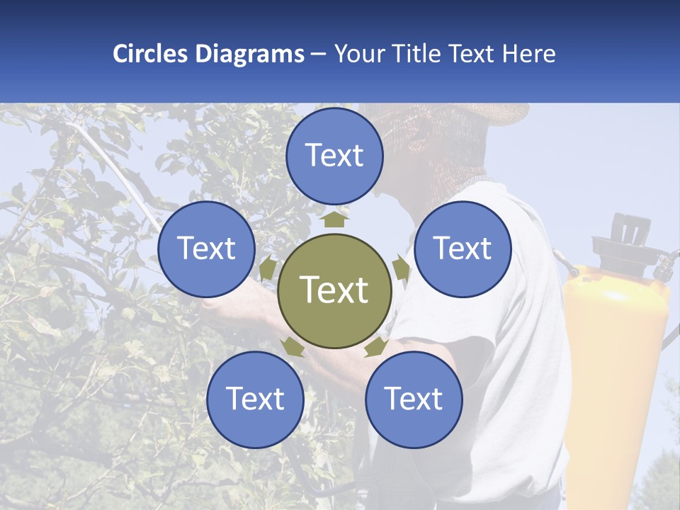 Treatment Of Trees From Pests PowerPoint Template