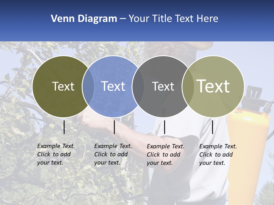 Treatment Of Trees From Pests PowerPoint Template