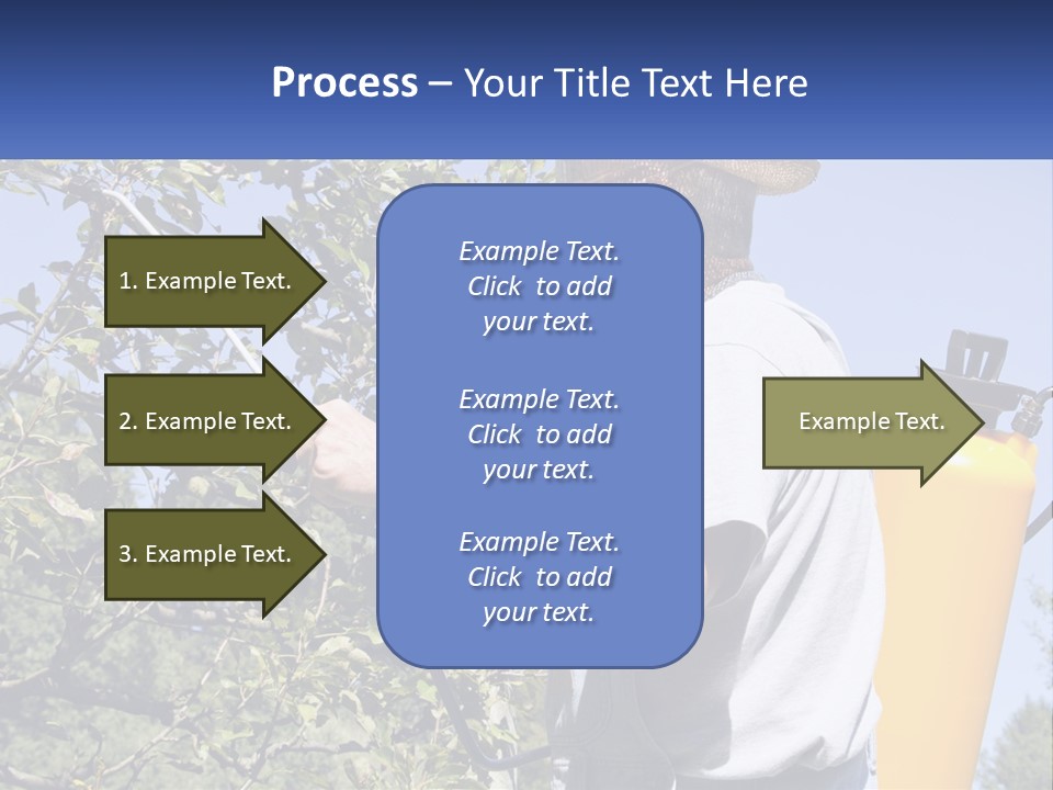 Treatment Of Trees From Pests PowerPoint Template