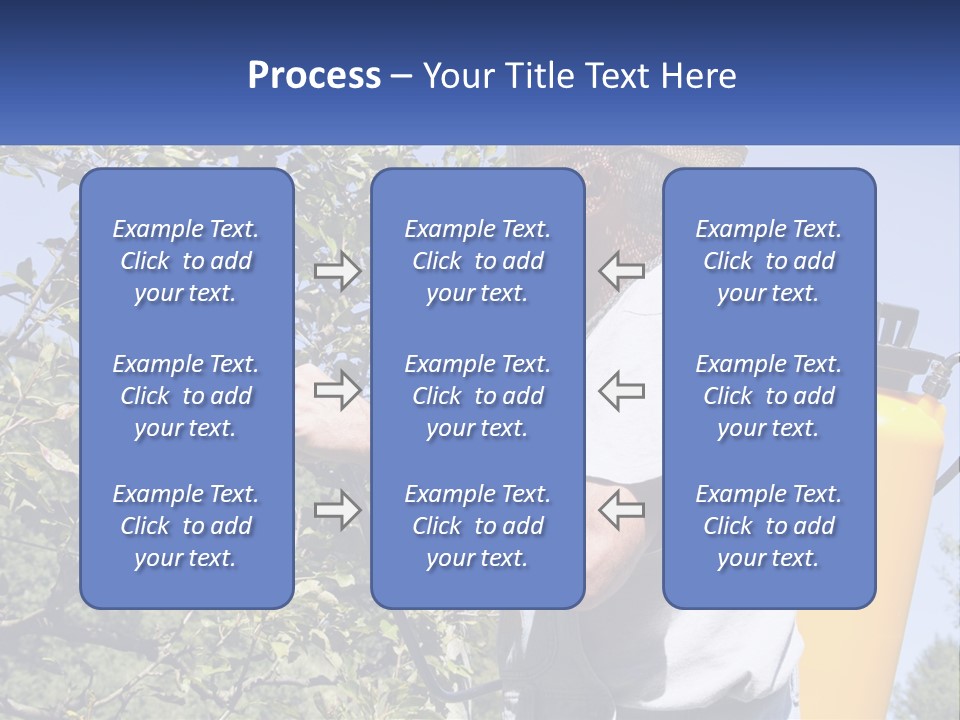 Treatment Of Trees From Pests PowerPoint Template