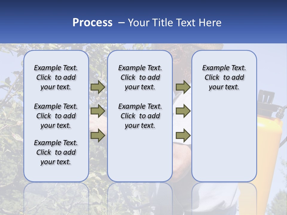 Treatment Of Trees From Pests PowerPoint Template