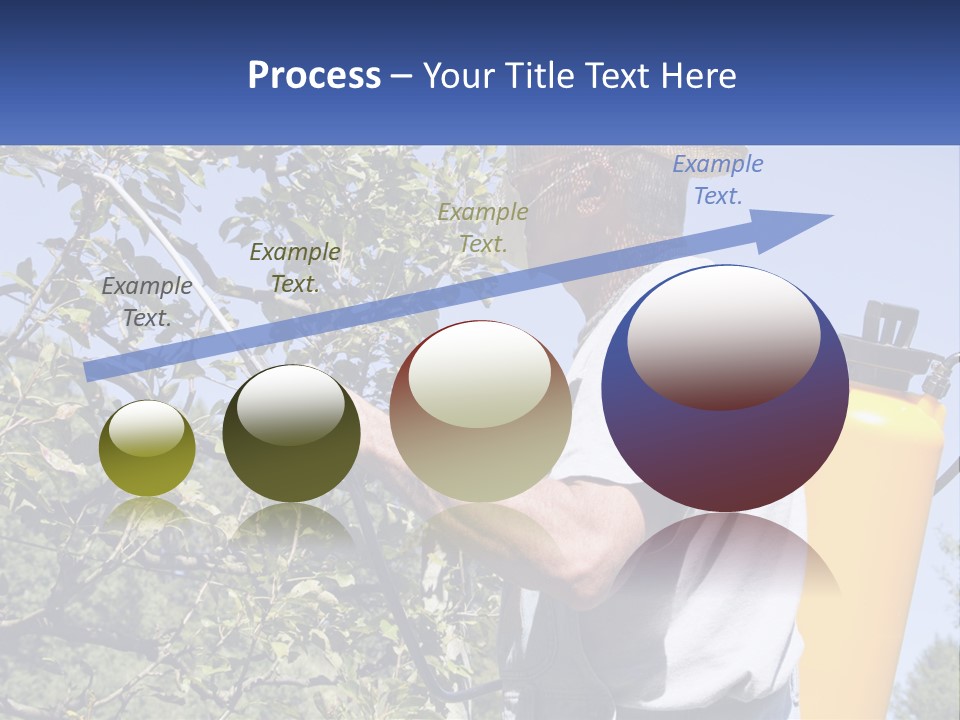 Treatment Of Trees From Pests PowerPoint Template