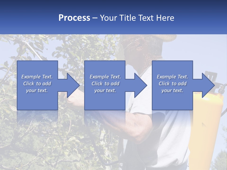 Treatment Of Trees From Pests PowerPoint Template