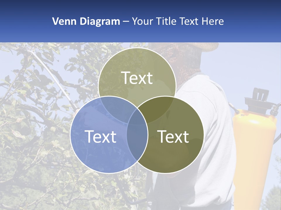 Treatment Of Trees From Pests PowerPoint Template