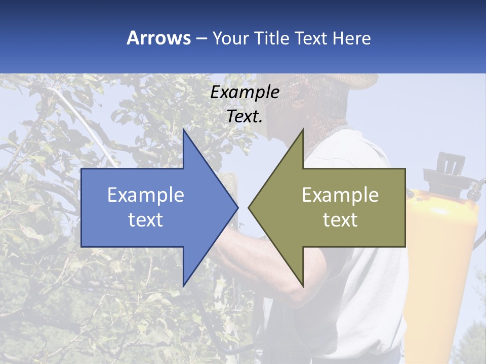 Treatment Of Trees From Pests PowerPoint Template