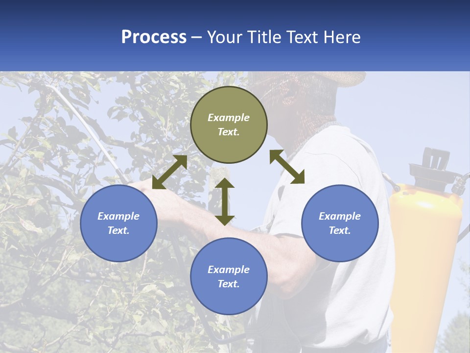 Treatment Of Trees From Pests PowerPoint Template