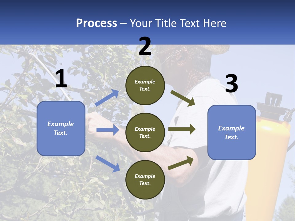 Treatment Of Trees From Pests PowerPoint Template