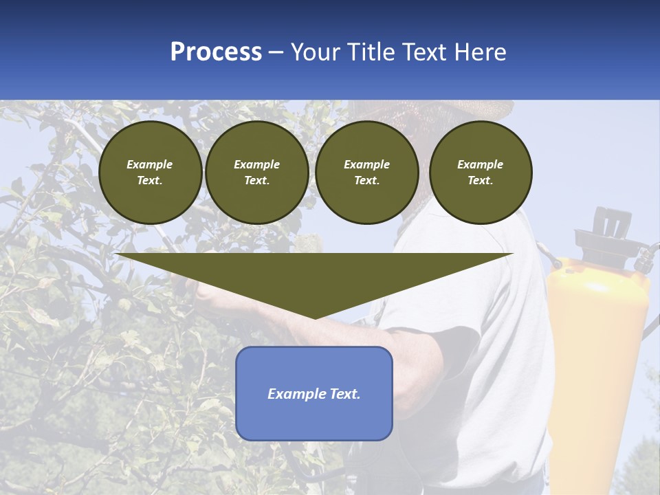 Treatment Of Trees From Pests PowerPoint Template