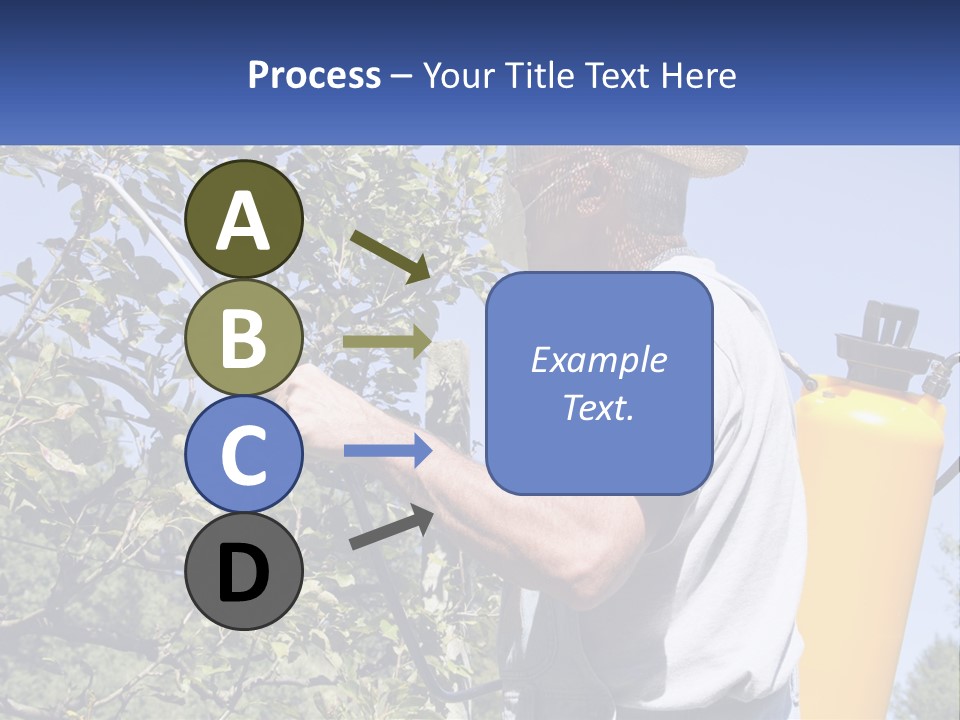 Treatment Of Trees From Pests PowerPoint Template