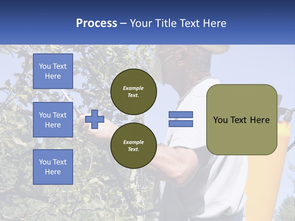 Treatment Of Trees From Pests PowerPoint Template