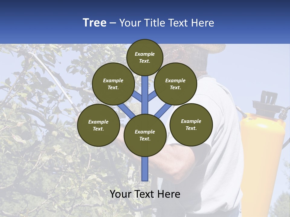Treatment Of Trees From Pests PowerPoint Template