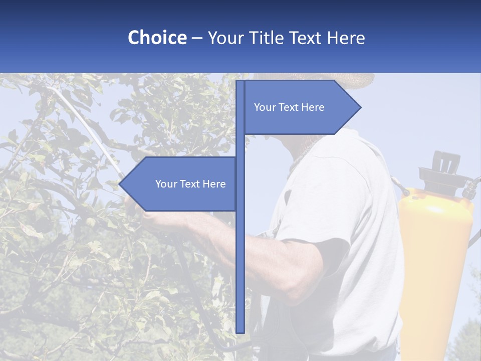 Treatment Of Trees From Pests PowerPoint Template
