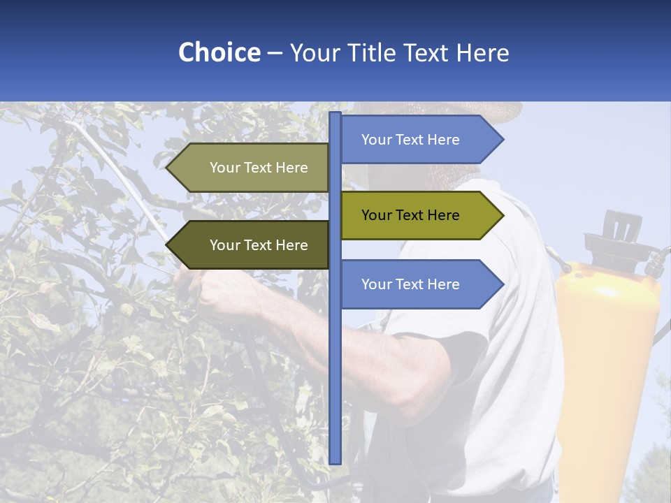 Treatment Of Trees From Pests PowerPoint Template