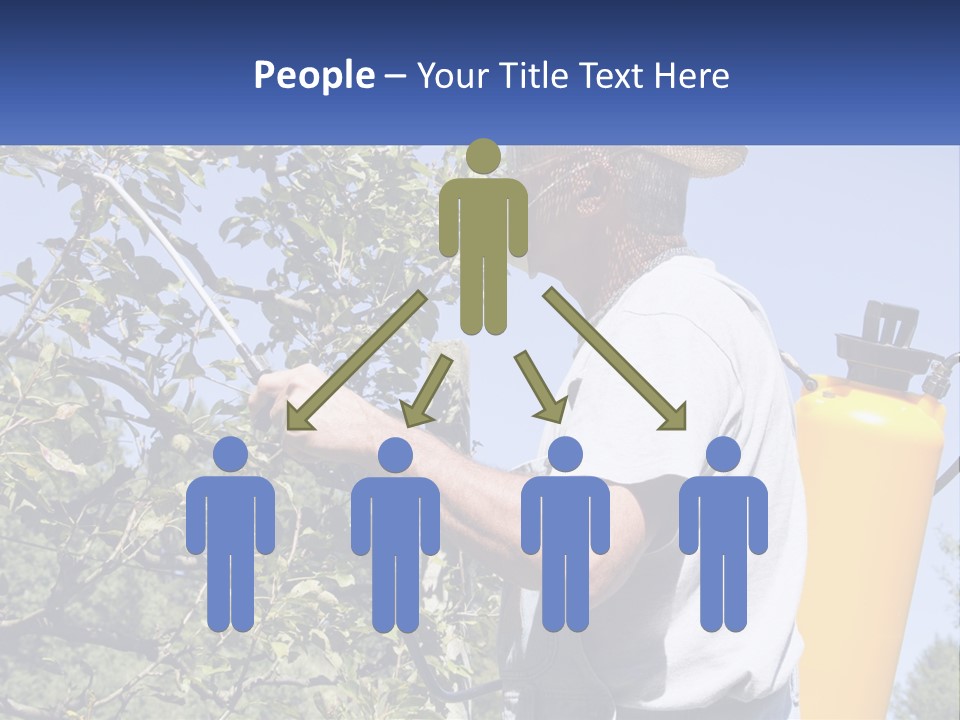 Treatment Of Trees From Pests PowerPoint Template