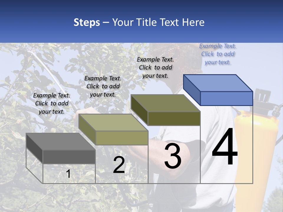 Treatment Of Trees From Pests PowerPoint Template