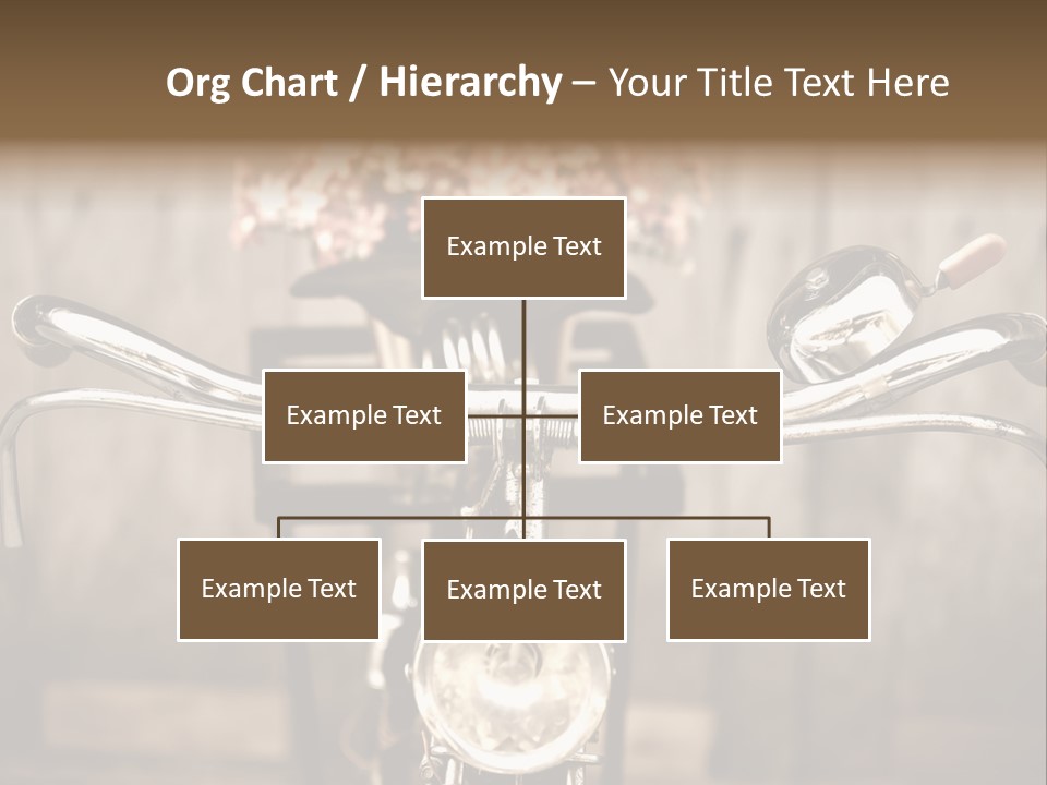 Bicycles Bouquet Of Flowers PowerPoint Template