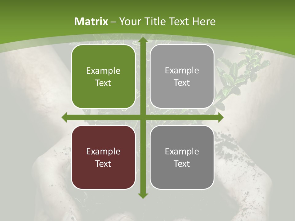 Grow New Life PowerPoint Template