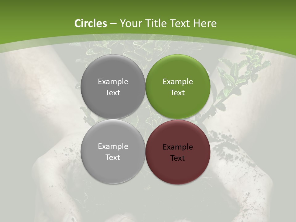 Grow New Life PowerPoint Template