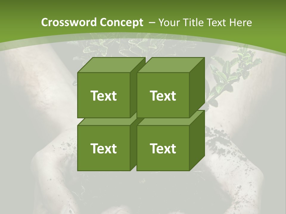 Grow New Life PowerPoint Template