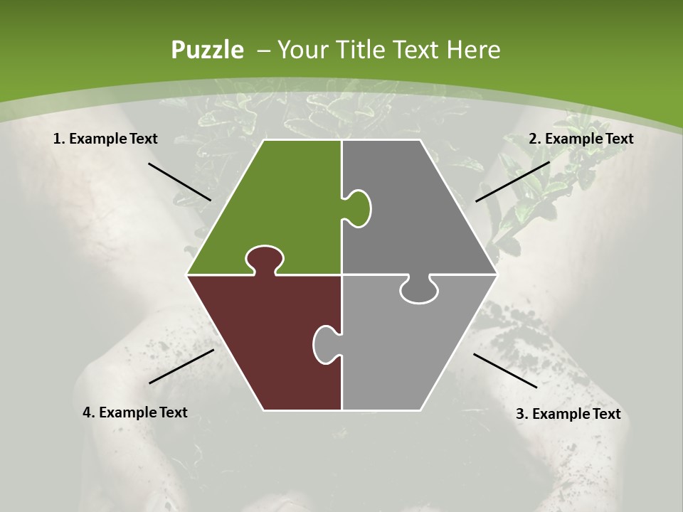 Grow New Life PowerPoint Template