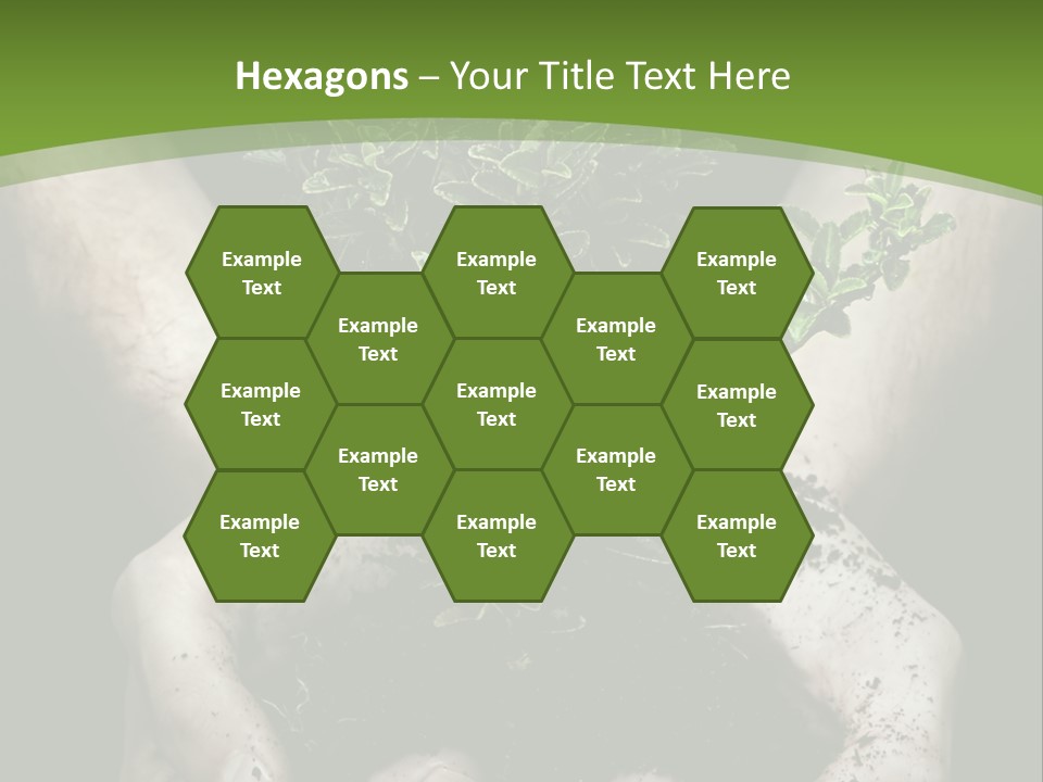 Grow New Life PowerPoint Template