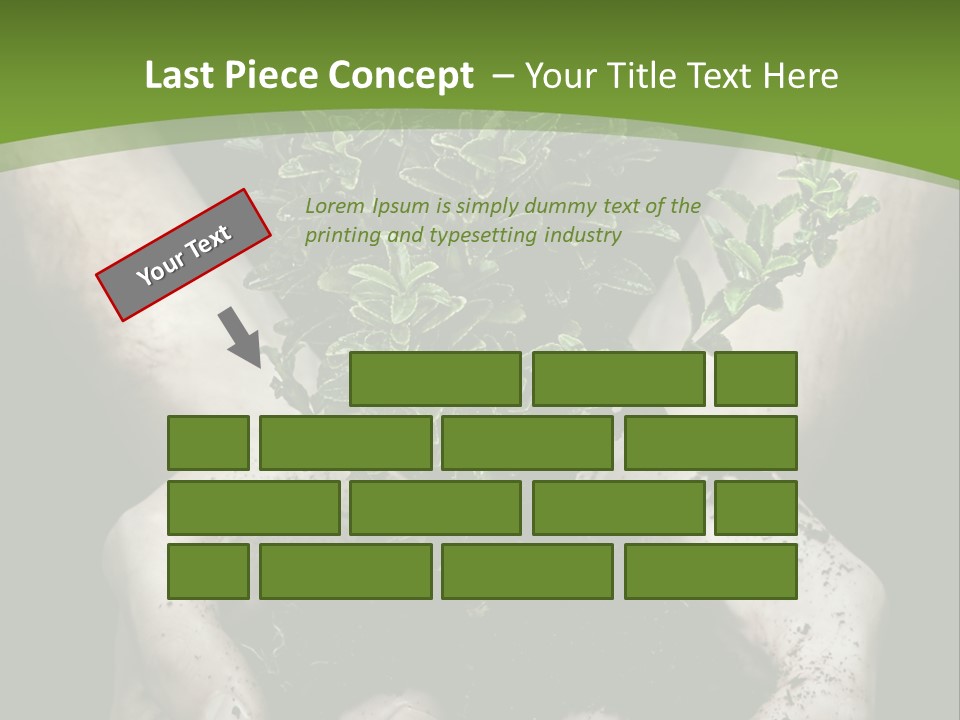 Grow New Life PowerPoint Template