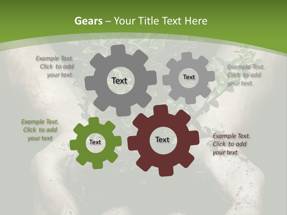 Grow New Life PowerPoint Template